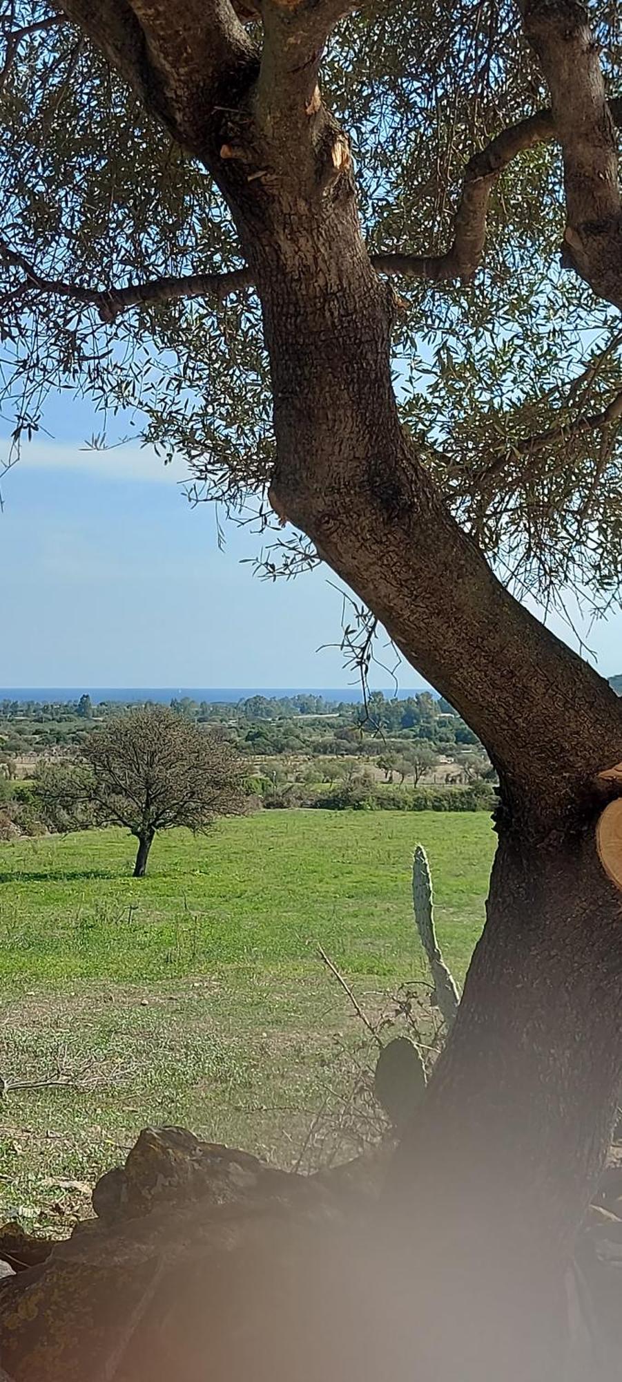 La Casa Di Eve Villa Budoni Luaran gambar