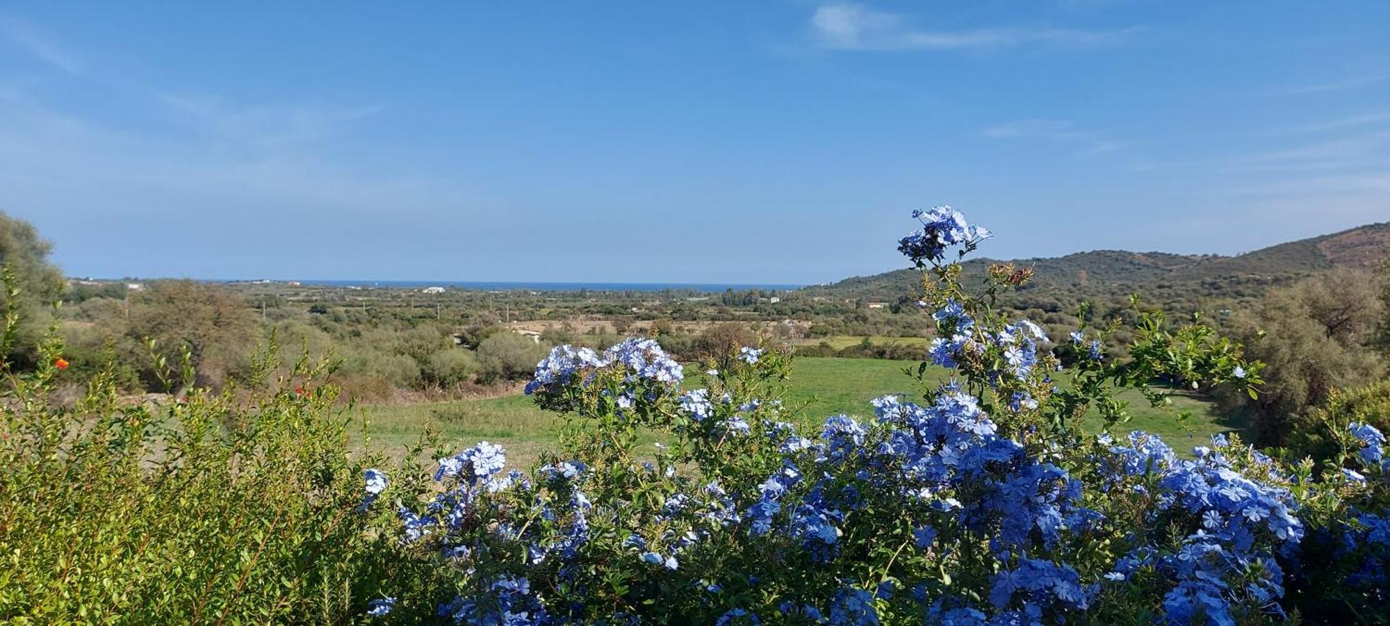 La Casa Di Eve Villa Budoni Luaran gambar